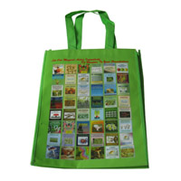 津南LB11覆膜无纺布广告袋